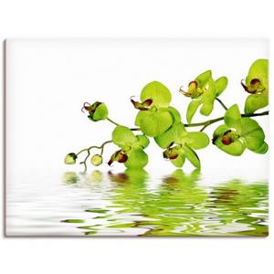 Artland Artprint Mooie orchidee met groene achtergrond als artprint van aluminium, artprint op linnen, muursticker of poster in verschillende maten