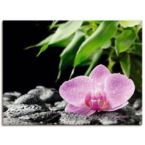 Artland Artprint Roze orchidee op zwarte zen stenen als artprint van aluminium, artprint op linnen, muursticker of poster in verschillende maten