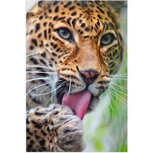 Artland Artprint Leopard als artprint van aluminium, artprint op linnen, muursticker of poster in verschillende maten