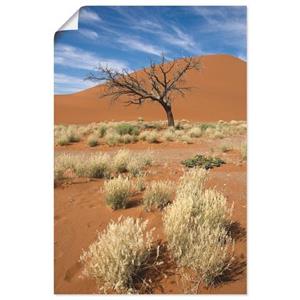 Artland Artprint Namib-woestijn 2 als artprint van aluminium, artprint op linnen, muursticker of poster in verschillende maten