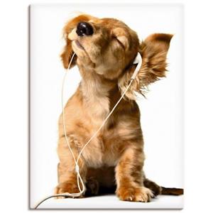 Artland Artprint Jonge hond die naar muziek door hoofdtelefoon luistert als artprint op linnen, muursticker of poster in verschillende maten