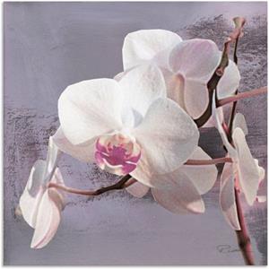 Artland Artprint Orchideeën voor violet I als artprint van aluminium, artprint op linnen, muursticker of poster in verschillende maten