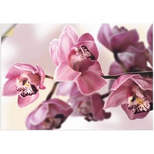 Artland Artprint Roze orchidee als artprint van aluminium, artprint op linnen, muursticker of poster in verschillende maten