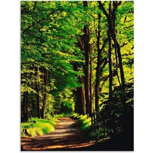 Artland Artprint Weg in het bos als artprint van aluminium, artprint op linnen, muursticker of poster in verschillende maten