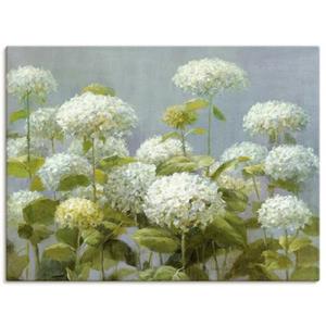 Artland Artprint Witte hortensia's tuin als artprint op linnen, muursticker of poster in verschillende maten