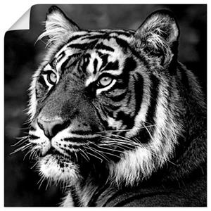 Artland Wandbild "Tiger", Wildtiere, (1 St.), als Leinwandbild, Wandaufkleber oder Poster in versch. Größen