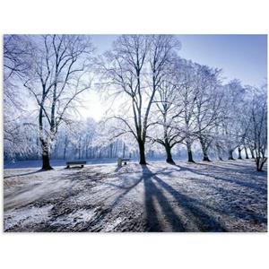 Artland Alu-Dibond-Druck "Wintertraum. Licht & Schatten im Winter", Wiesen & Baumbilder, (1 St.)