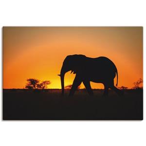 Artland Artprint Afrikaanse olifant bij zonsondergang als artprint van aluminium, artprint op linnen, muursticker of poster in verschillende maten