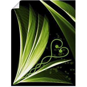 Artland Artprint Groen hartvormig blad decoratief als artprint van aluminium, artprint op linnen, muursticker of poster in verschillende maten