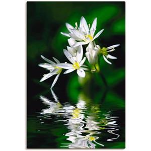 Artland Artprint Wildeknoflookbloemen met waterspiegeling als artprint van aluminium, artprint op linnen, muursticker of poster in verschillende maten