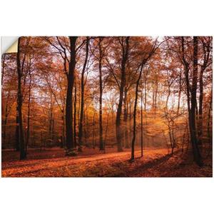 Artland Artprint Zonsopkomst in de herfst II als artprint van aluminium, artprint op linnen, muursticker of poster in verschillende maten