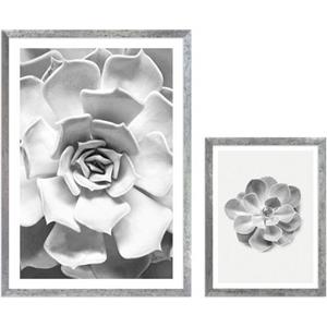 Komar Artprint met lijst Succulent Aeonium machinaal