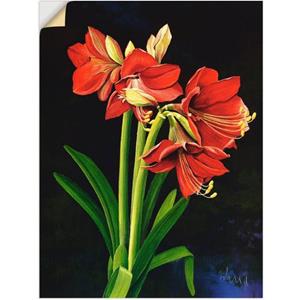 Artland Artprint Amaryllis als artprint op linnen, muursticker of poster in verschillende maten