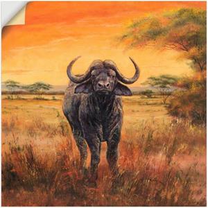 Artland Wandbild "Büffel", Wildtiere, (1 St.), als Poster, Wandaufkleber in verschied. Größen