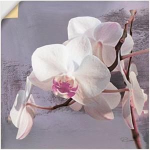 Artland Wandbild "Orchideen vor Violett I", Blumen, (1 St.)
