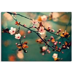 Artland Artprint Japanse kers Sakura bloemen als artprint van aluminium, artprint op linnen, muursticker of poster in verschillende maten