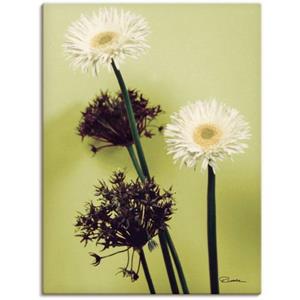 Artland Artprint Twee voor groen - gerbera's als artprint van aluminium, artprint op linnen, muursticker of poster in verschillende maten