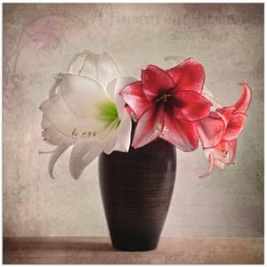 Artland Artprint Amaryllis vintage I als artprint van aluminium, artprint op linnen, muursticker of poster in verschillende maten