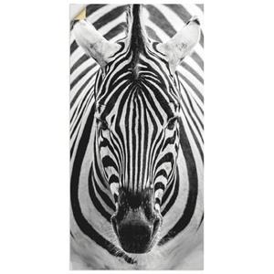 Artland Artprint Zebra als artprint van aluminium, artprint op linnen, muursticker of poster in verschillende maten