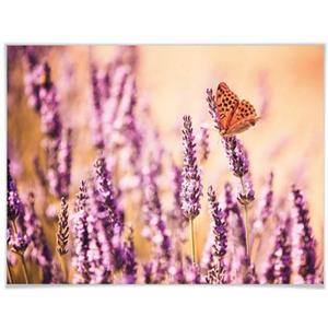 Wall-Art Poster "Schmetterling Lavendel", Schmetterlinge, (1 St.), Poster, Wandbild, Bild, Wandposter