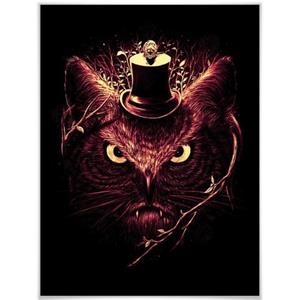 Wall-Art Poster Nicebleed Meowl kat uil magie Poster, artprint, wandposter (1 stuk)