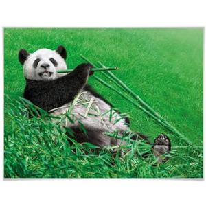 Wall-Art Poster Dieren in het bos bamboe panda Poster, artprint, wandposter (1 stuk)