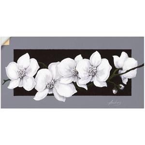 Artland Wandbild "Weiße Orchideen auf grau", Blumen, (1 St.)