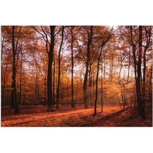 Artland Wandbild "Sonnenaufgang im Herbst II", Wald, (1 St.)