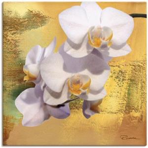 Artland Artprint Witte orchidee II als artprint van aluminium, artprint op linnen, muursticker of poster in verschillende maten