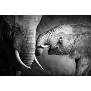 Queence Artprint op linnen Olifant