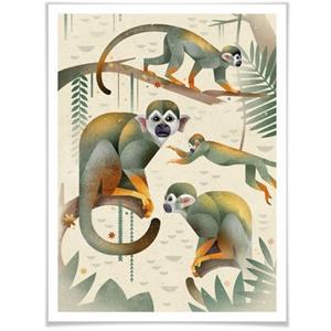 Wall-Art Poster Squirrel Monkeys Poster, artprint, wandposter (1 stuk)