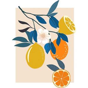 Komar Wandbild "Illustration Finest Fruits", (1 St.), Deutsches Premium-Poster Fotopapier mit seidenmatter Oberfläche und hoher Lichtbeständigkeit. Für fotorealistische Drucke m
