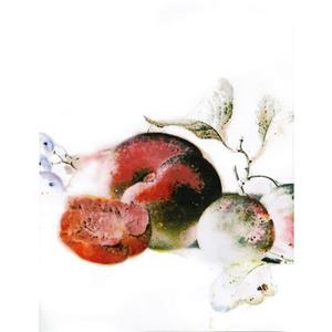 Komar Wandbild "Dessert Fruité", (1 St.), Deutsches Premium-Poster Fotopapier mit seidenmatter Oberfläche und hoher Lichtbeständigkeit. Für fotorealistische Drucke mit ge
