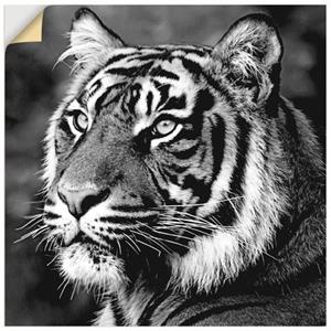 Artland Wandbild "Tiger", Wildtiere, (1 St.), als Leinwandbild, Wandaufkleber oder Poster in versch. Größen