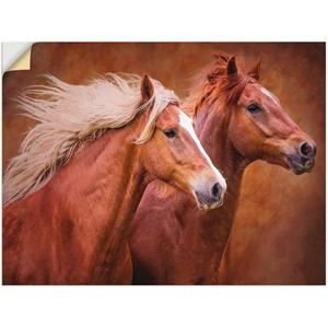 Artland Artprint Raszuivere paarden I als artprint van aluminium, artprint op linnen, muursticker of poster in verschillende maten