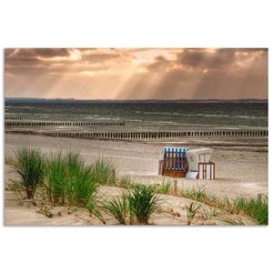 Artland Artprint Zwarte struik strand op eiland Poel als artprint van aluminium, artprint op linnen, muursticker of poster in verschillende maten