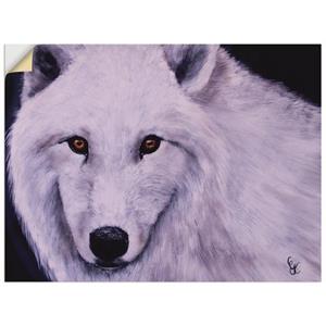 Artland Artprint Witte wolf als artprint van aluminium, artprint op linnen, muursticker of poster in verschillende maten