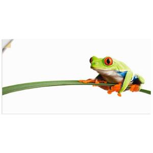 Artland Wandbild "Frosch auf einem Blatt", Wassertiere, (1 St.)