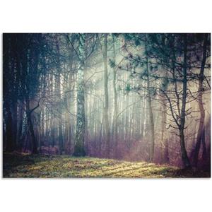 Artland Wandbild "Sonnenstrahlen im Wald", Waldbilder, (1 St.), als Alubild, Outdoorbild, Leinwandbild in verschied. Größen