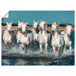 Artland Artprint Camargue paarden galopperen op het strand als artprint van aluminium, artprint op linnen, muursticker of poster in verschillende maten