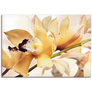 Artland Artprint Gele orchidee als artprint van aluminium, artprint op linnen, muursticker of poster in verschillende maten