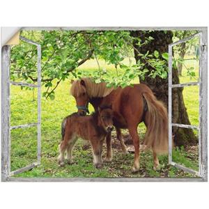 Artland Artprint Blik uit het venster - pony met kind als artprint van aluminium, artprint op linnen, muursticker of poster in verschillende maten