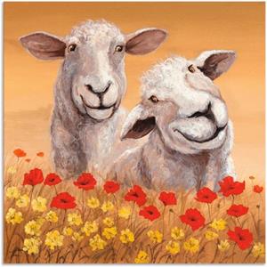 Artland Artprint Schapen als artprint van aluminium, artprint op linnen, muursticker of poster in verschillende maten