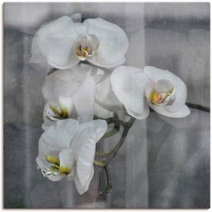 Artland Artprint Witte orchideeën - white orchidee als artprint op linnen, muursticker of poster in verschillende maten