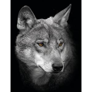 Bönninghoff Artprint op linnen Wolf (1 stuk)
