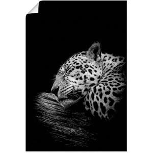 Artland Artprint De slapende jaguar als artprint van aluminium, artprint op linnen, muursticker of poster in verschillende maten