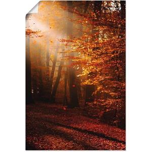 Artland Artprint Zonsopkomst in de herfst als artprint van aluminium, artprint op linnen, muursticker of poster in verschillende maten