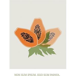 Komar Wandbild "Cultivated Papaya", (1 St.), Deutsches Premium-Poster Fotopapier mit seidenmatter Oberfläche und hoher Lichtbeständigkeit. Für fotorealistische Drucke mit gestoc