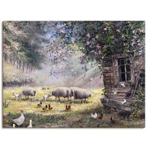 Artland Artprint Kippen en schapen als artprint op linnen, muursticker of poster in verschillende maten