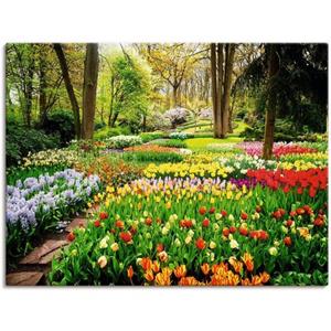 Artland Wandbild "Tulpen Garten Frühling", Blumenwiese, (1 St.)